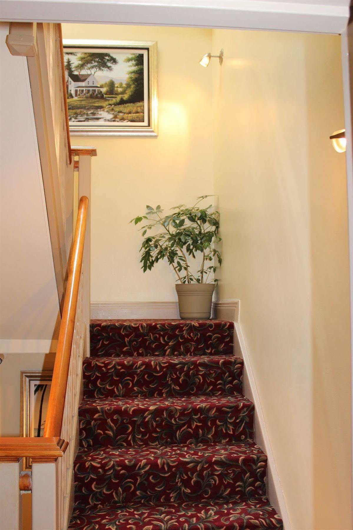 Le Saint-Malo Hotel Montreal Zewnętrze zdjęcie