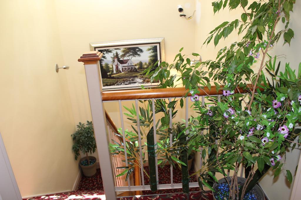 Le Saint-Malo Hotel Montreal Zewnętrze zdjęcie